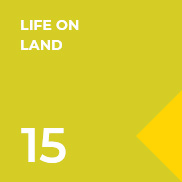 15 life on land