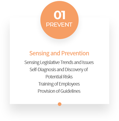 01 PREVENT Sensing and Prevention Sensing Legislative Trends and Issues Self-Diagnosis and Discovery of Potential Risks Training of Employees Provision of Guidelines
